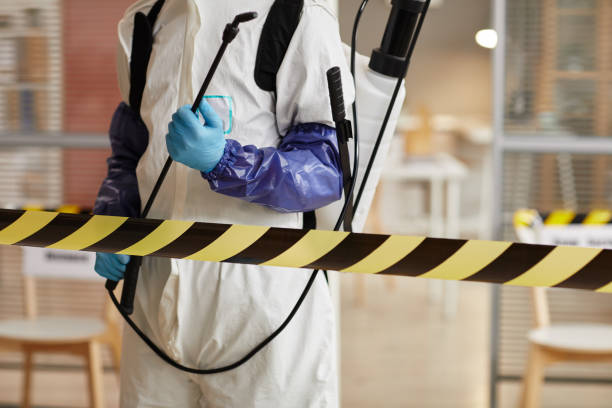 Professional Sewage Cleanup technician working in Harwich Port, MA